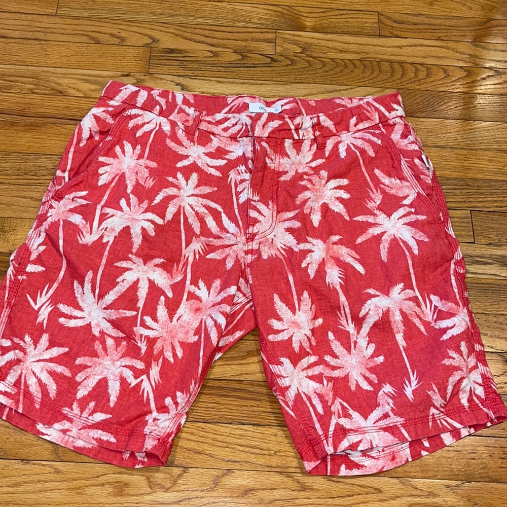 Red Palm Springs Shorts